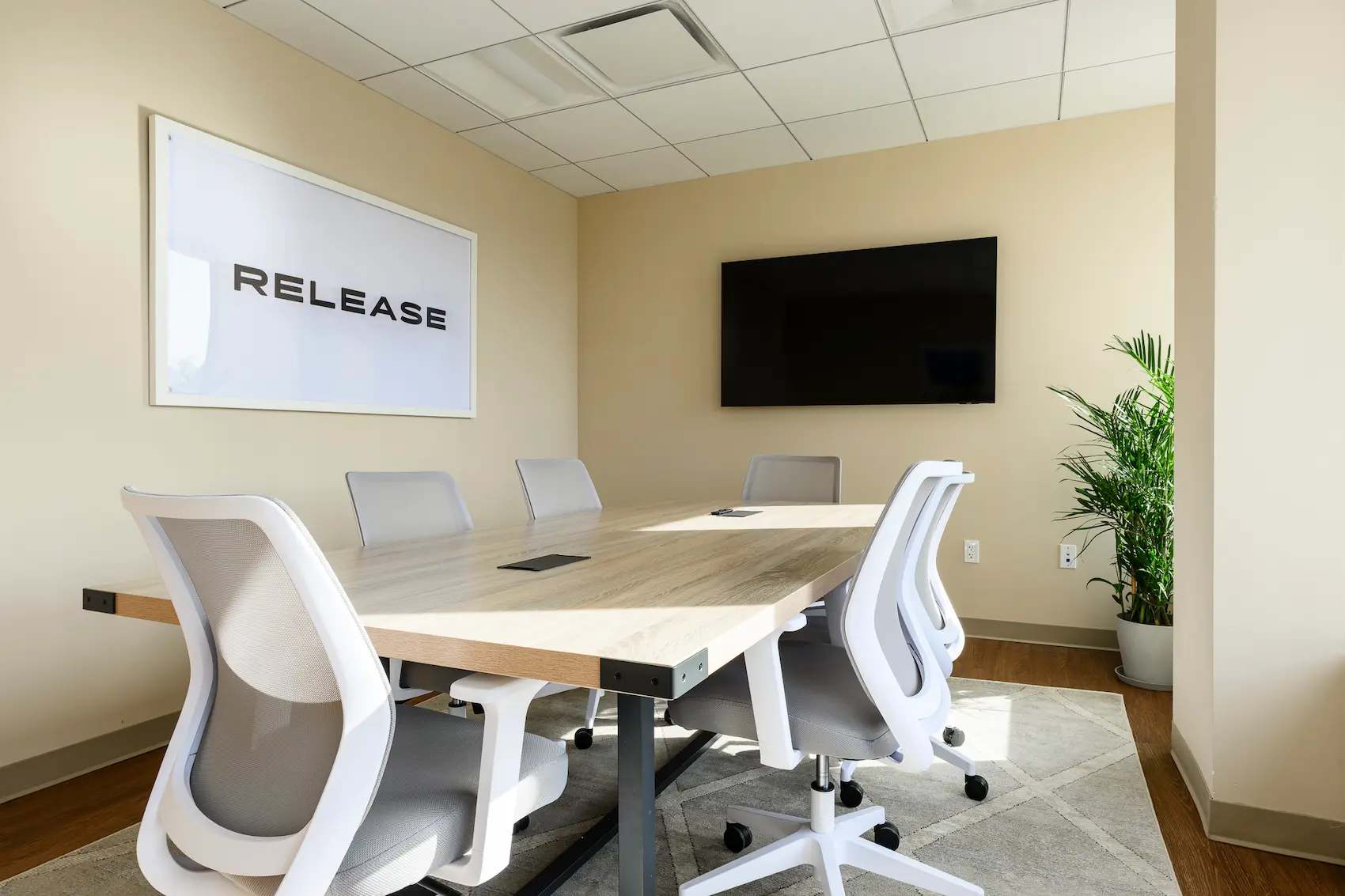 Release Recovery_Westchester _Clinical Space